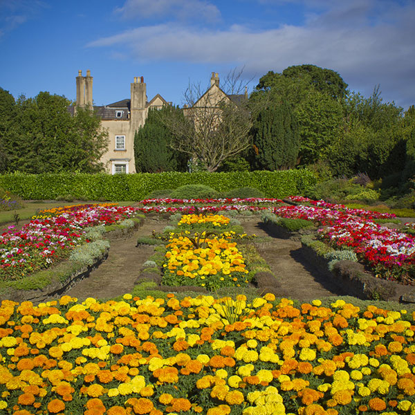 garden in front of house