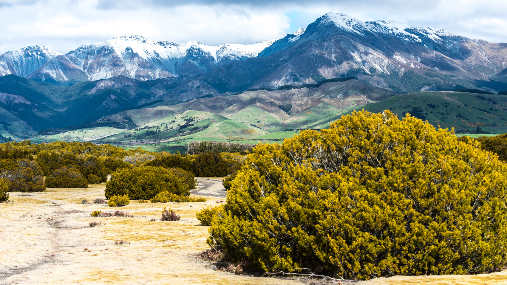 mountain scene